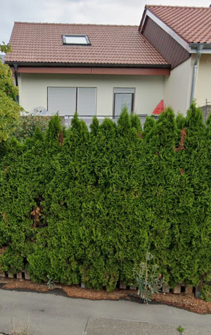 Real Estate Title Image Background